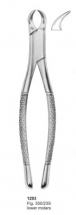 Fig. 350-23S lower molars